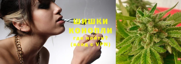 apvp Богданович