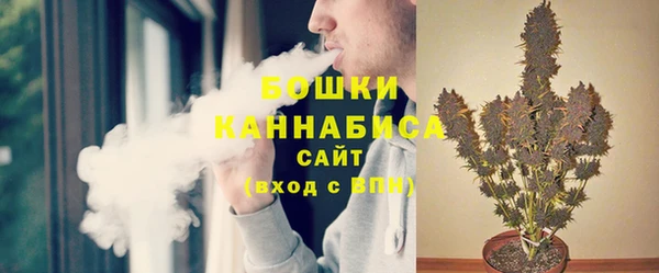 apvp Богданович