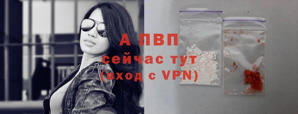 apvp Богданович
