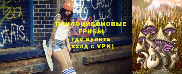 apvp Богданович